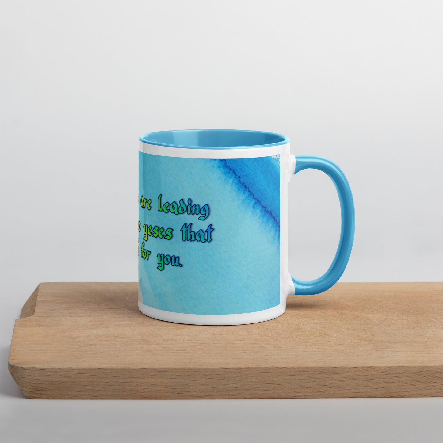All The Noes Mug With Color Inside (2)