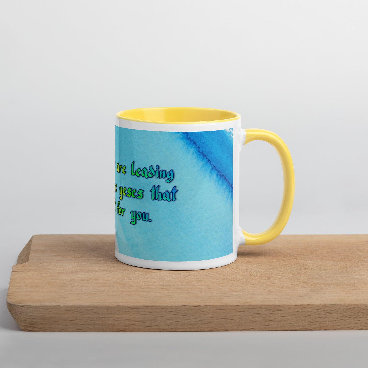 All The Noes Mug With Color Inside (2)