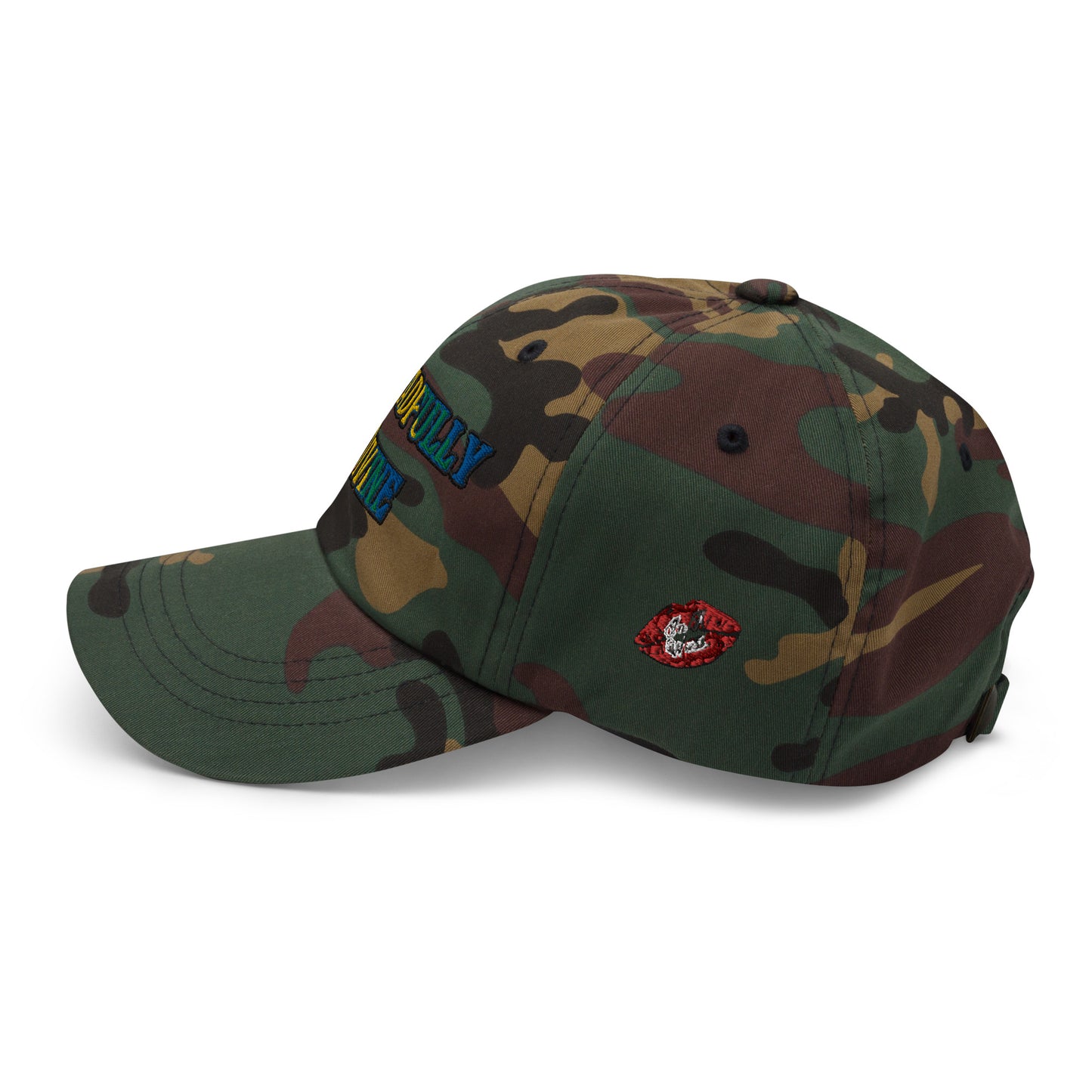 DD Logo (Multi-color) Dad Hat