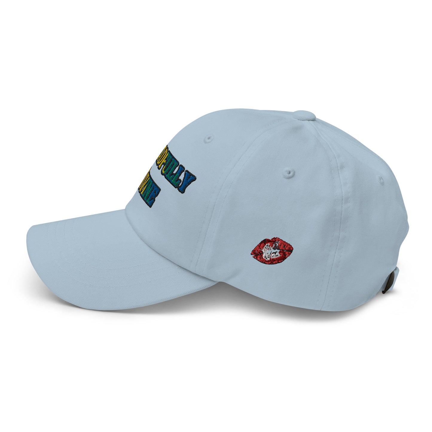 DD Logo (Multi-color) Dad Hat