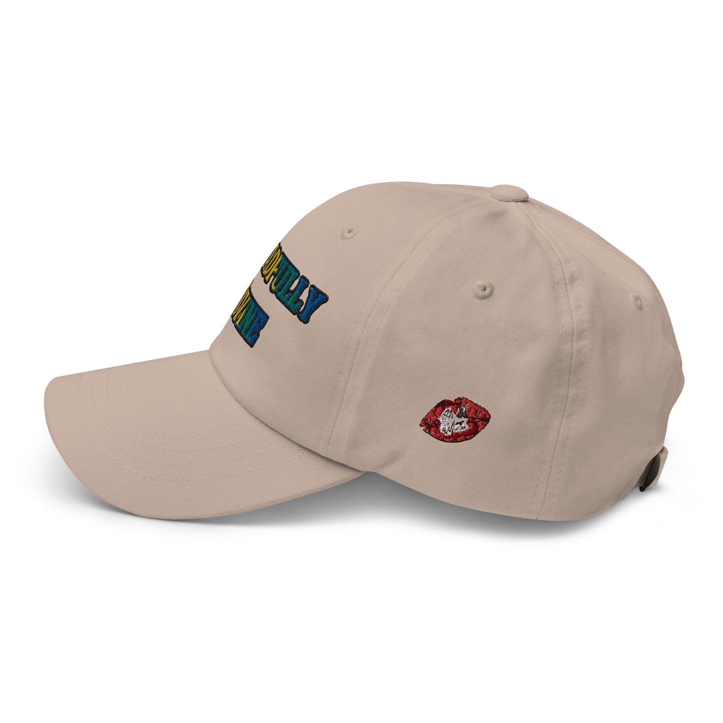 DD Logo (Multi-color) Dad Hat