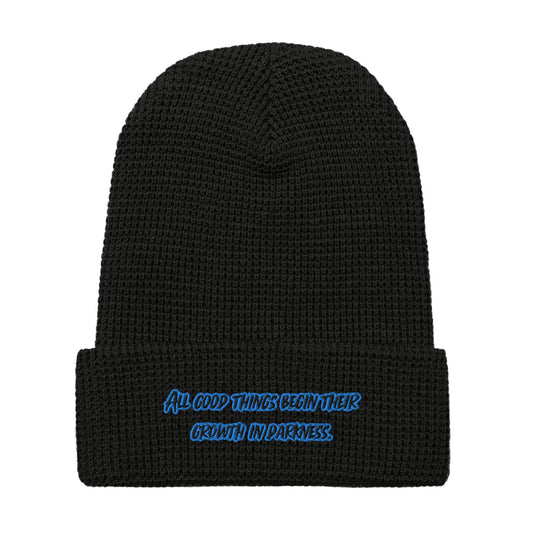 In Darkness Waffle Beanie